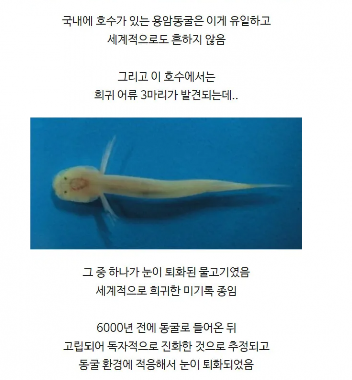 b722d5bb7e6c74ca7e488237fecf02d9_1744766260_5416.png