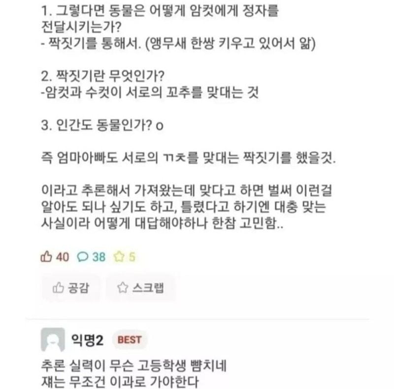 IMG_5314.jpeg 6살짜리 조카의 논리적 ㅅㅅ 추론