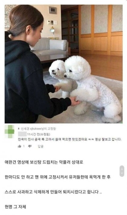 악플 대처 갑은 신세경인듯 | 인스티즈