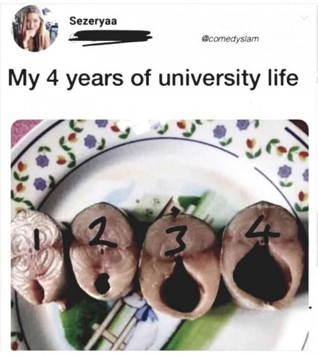 16620047787088.jpg