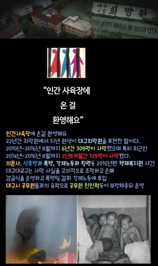 498d77c234f7b8d7315f1e5d82d4d167.jpg 인간노예사육장 사건 판결 레전드 ㄷㄷ