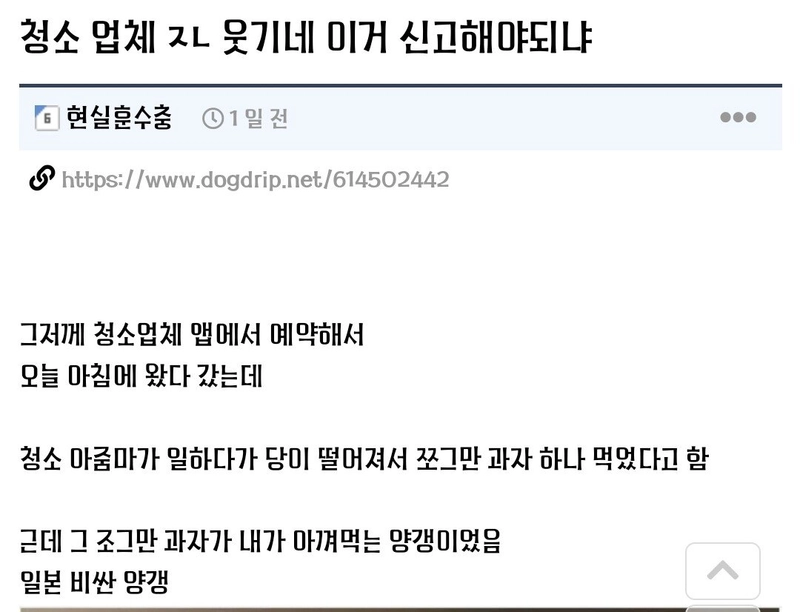 비싼 양갱을 맘대로 먹은 청소업체 아줌마
