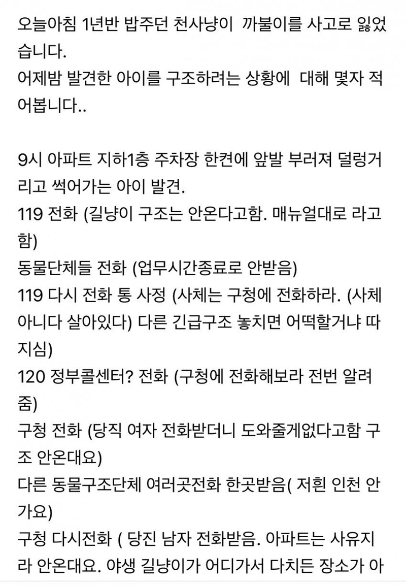 1.jpeg 119 구조대가 안와서 화난 캣맘 ㄷㄷㄷ.jpg 119 구조대가 안와서 화난 캣맘