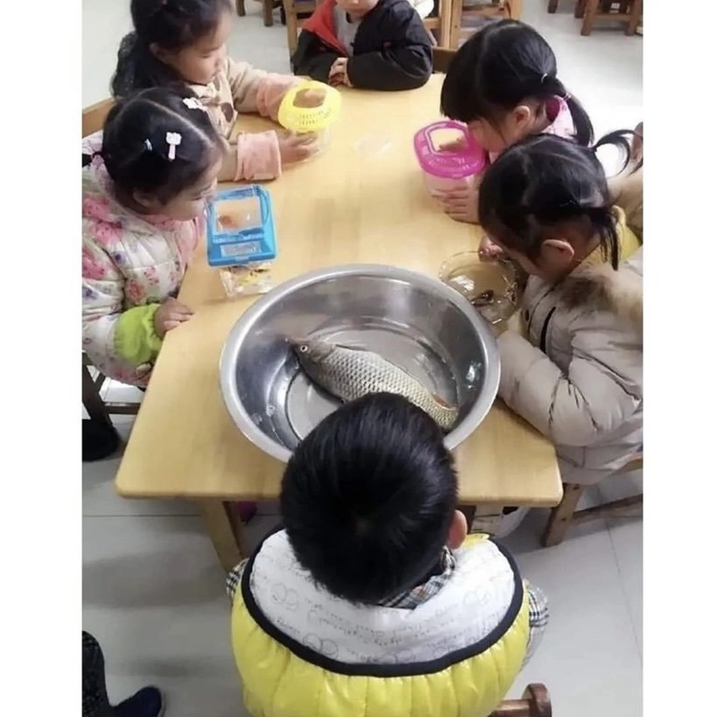 자식 기 살려주시는 아버지