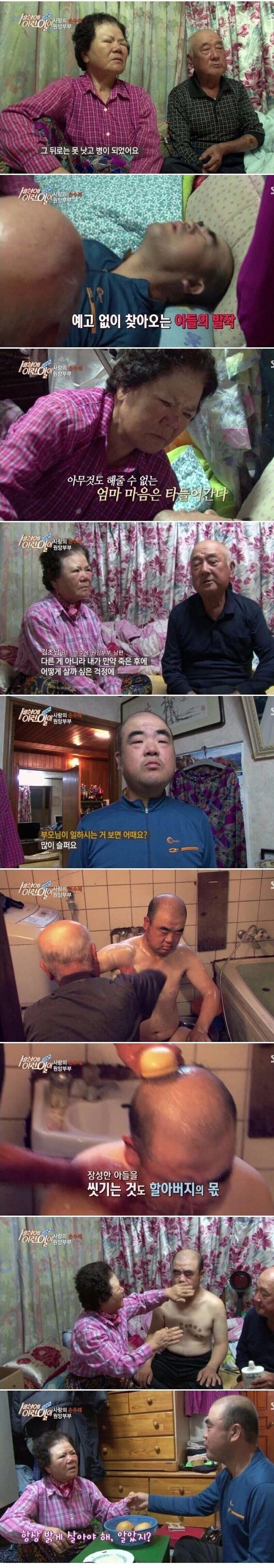 158351382126693.jpg 학교폭력 가해자들 절대 용서하면 안되는 이유.jpg