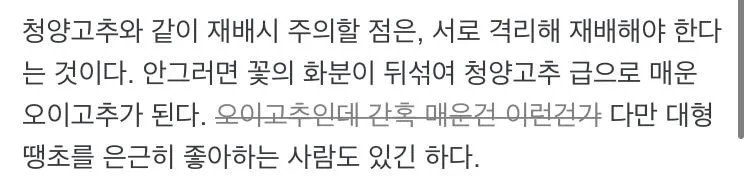 17550095793595582737336158707766.jpg 고추 처음 키워보는 사람들이 자주 하는 실수 jpg