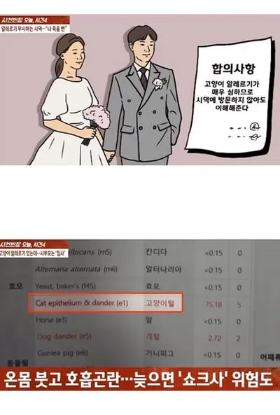 고양이 알러지 무시한 시댁 전원 쇠고랑 …