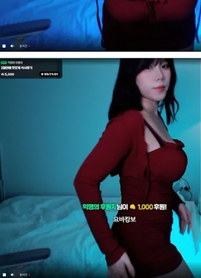 치지직 핵무기 보유한 누나 의상 ㅗㅜㅑ