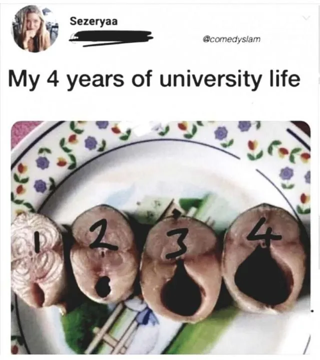 16620047787088.jpg